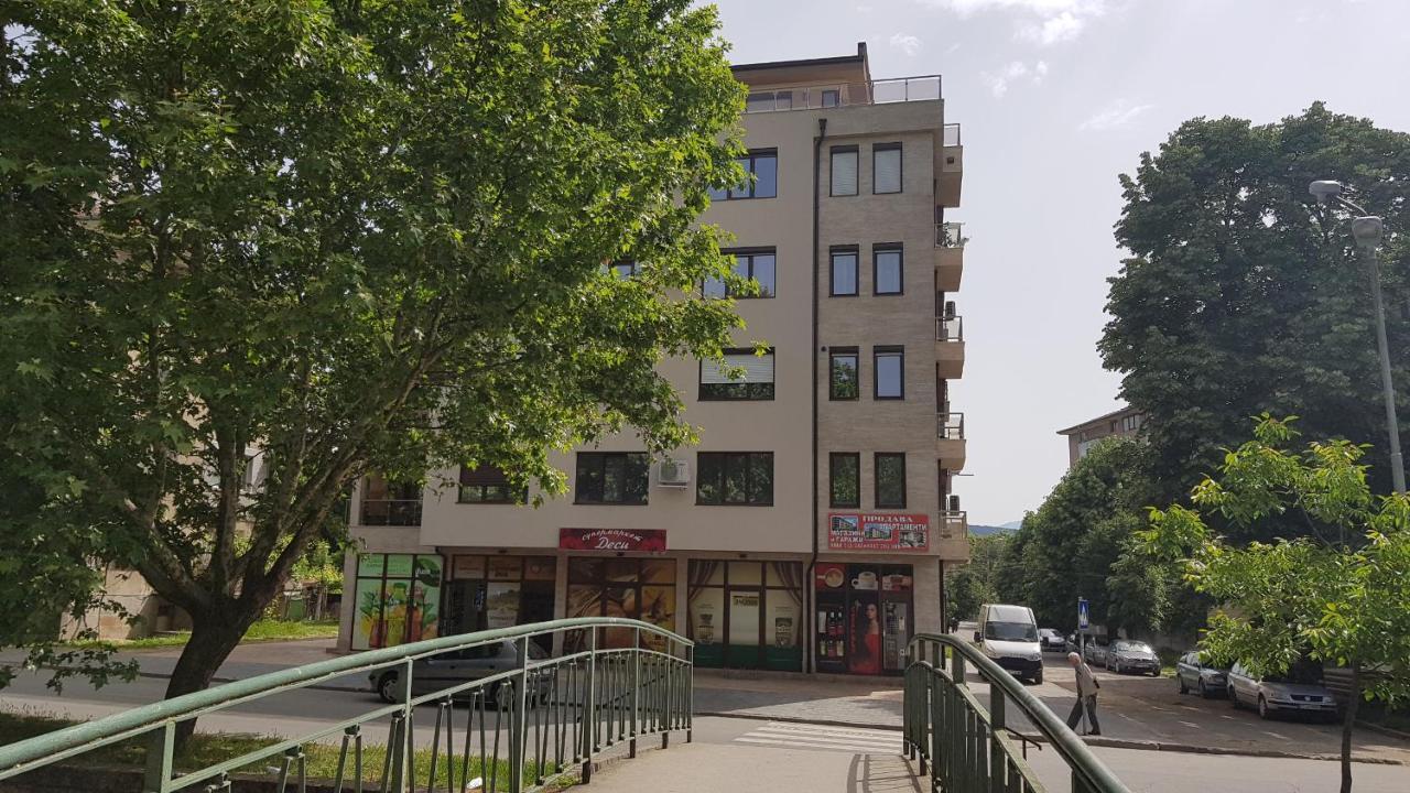 Kamelia * Kazanlak